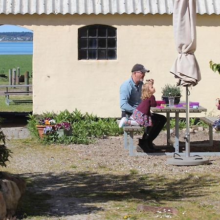Stutteri Ahl Near Beach And Town Ebeltoft Bagian luar foto