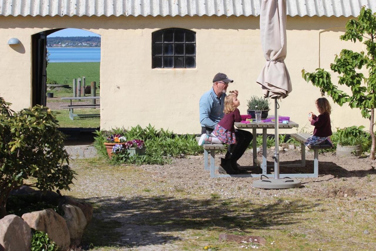 Stutteri Ahl Near Beach And Town Ebeltoft Bagian luar foto